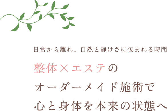 日常から離れ、自然と静けさに包まれる時間 整体×エステのオーダーメイド施術で心と身体を本来の状態へ